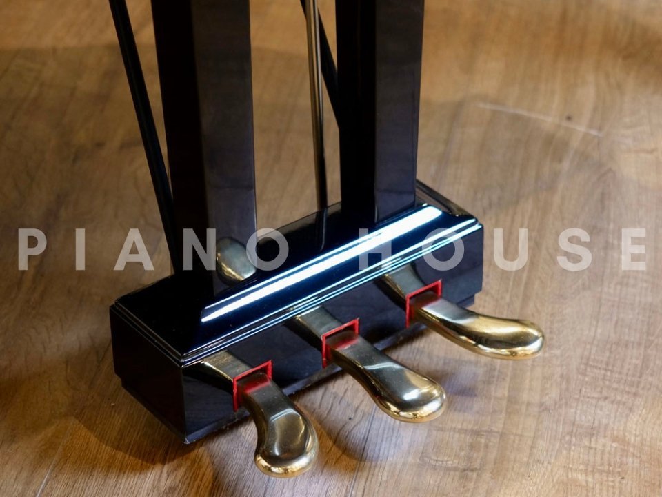 YAMAHA C3L - Ảnh thực tế 8